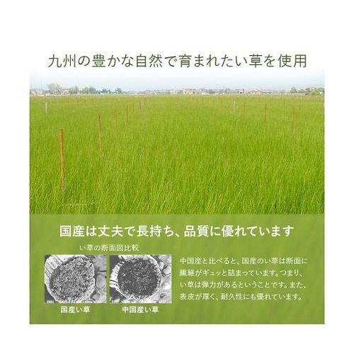 あぐら カーペット 置き畳 ネイビー 8