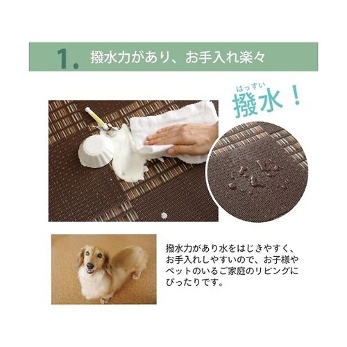 ウィード カーペット ポリプロピレンカー