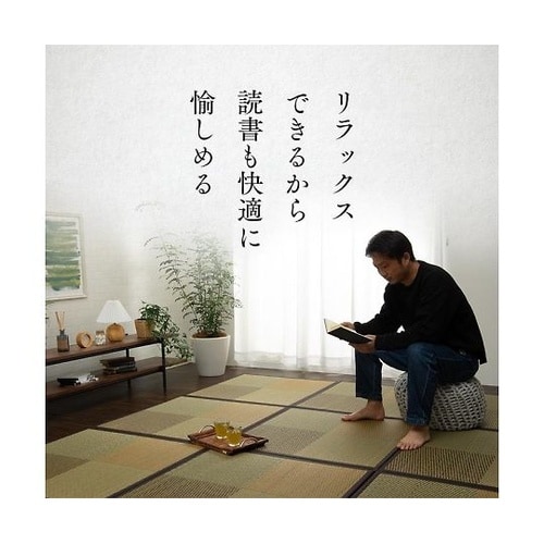 ニール カーペット 置き畳 ブラウン 8