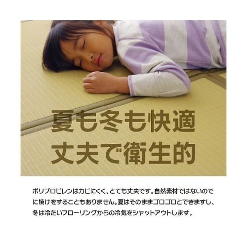 スカッシュ カーペット 置き畳 ベージュ