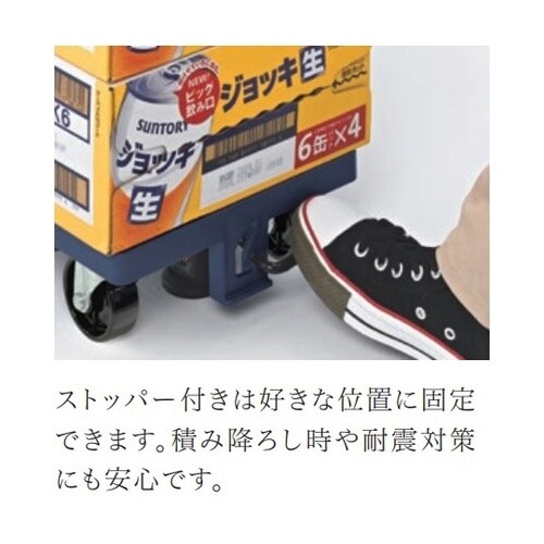 リカーキャリア 24CFB BCA109