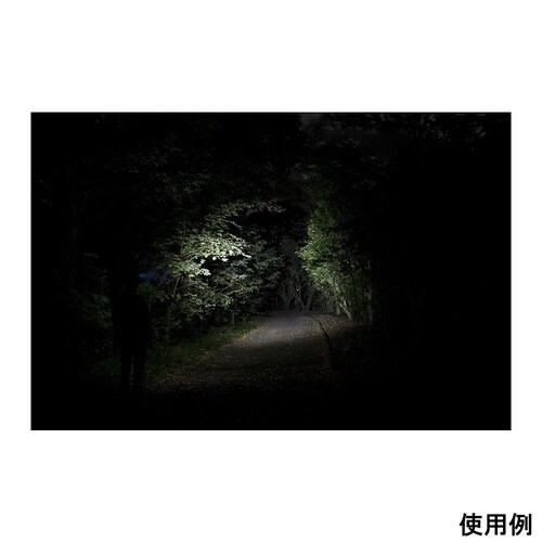 ヘッドウォーズ ヘッドライトハイブリッド