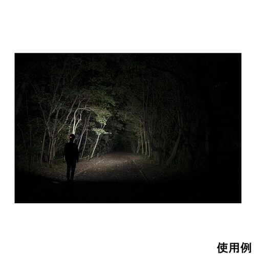 T−REX 2000LMヘッドライト 充