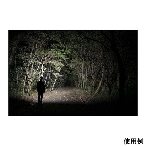 T−REX 2000LMヘッドライト 充