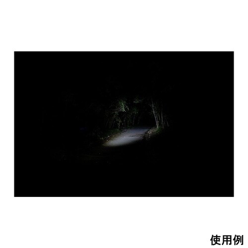 バレル 高出力デザイントーチ 充電式 B