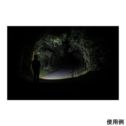 バレル 高出力デザイントーチ 充電式 B