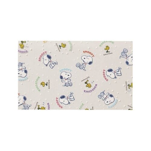 抗菌シート スヌーピー 30枚入り PN