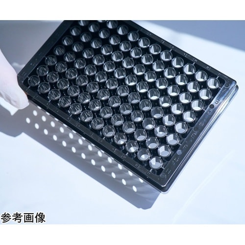 【独自の素材をプレート底面に貼れる】底な