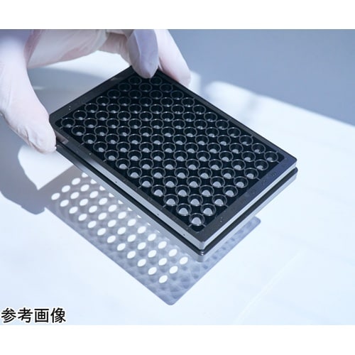 【独自の素材をプレート底面に貼れる】底な