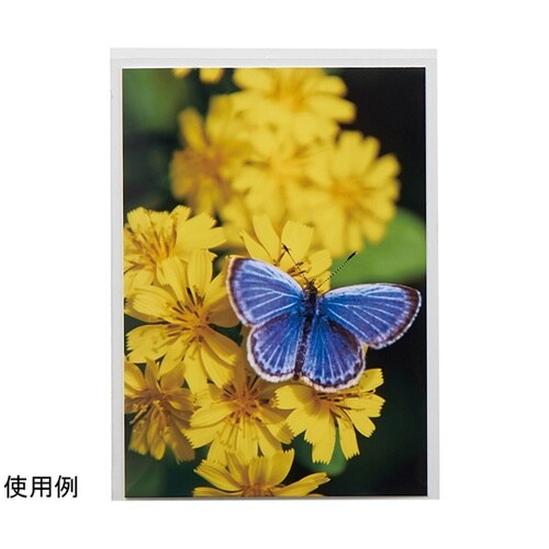 クリアポケット 高透明 L判 1パック(