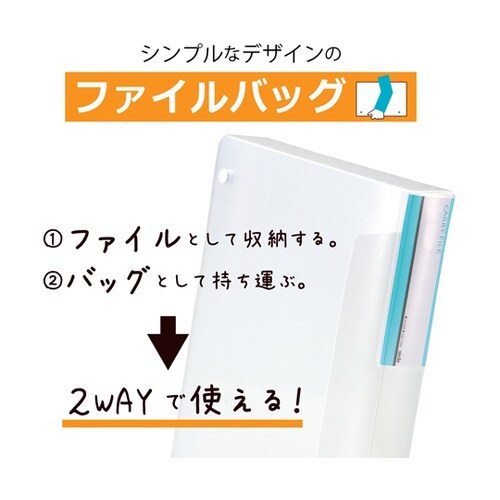 キャリーファイル 40×257×317m