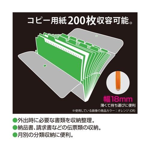 アクティフドキュメントホルダー 13ポケ