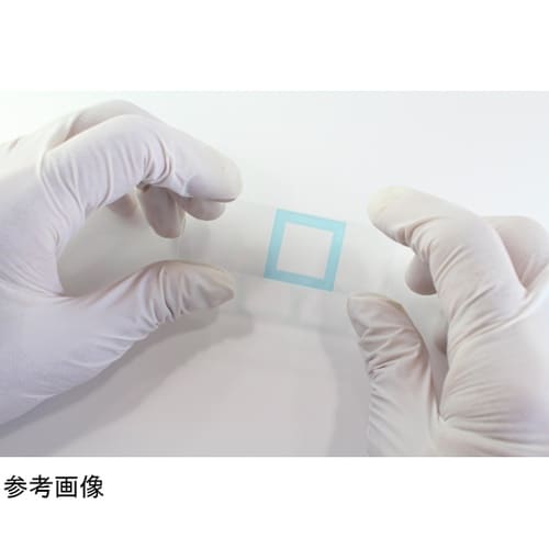 免疫染色用シール Fタイプ 1組(90枚