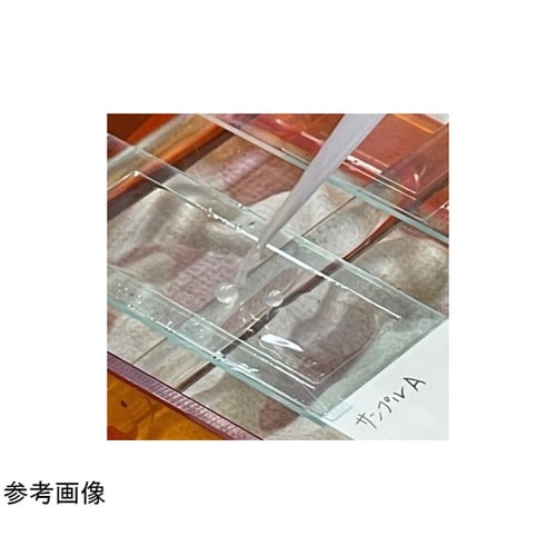 免疫染色用シール Fタイプ 1組(90枚