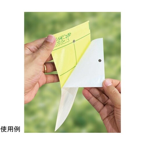 吊るしてGET虫ミニ 強力タイプ 10枚