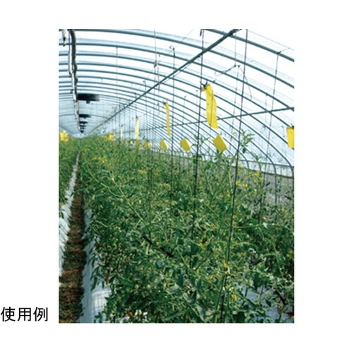 吊るしてGET虫ミニ 強力タイプ 10枚