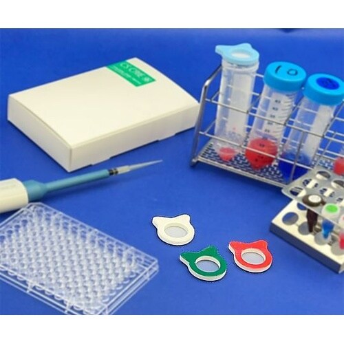 50mLチューブ対応メッシュシール 10