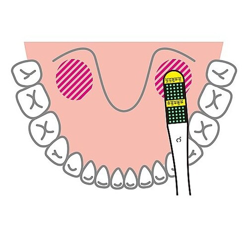 液晶体温計フラットミニ(カード付) EX