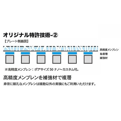 遠心フィルトレーションプレート(96we
