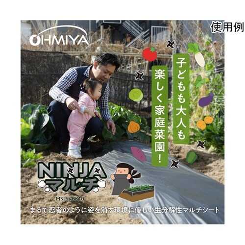 NINJAマルチ 10m MS−64BK