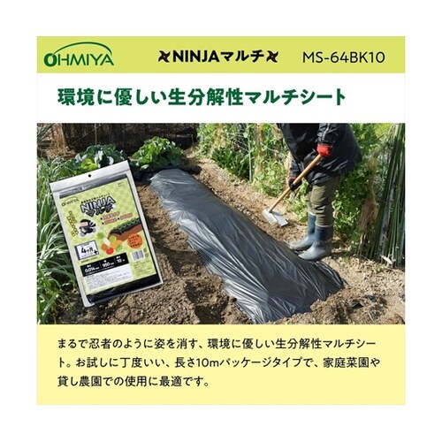 NINJAマルチ 10m MS−64BK