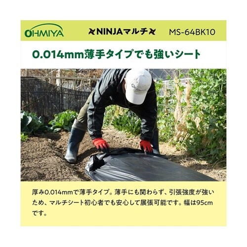 NINJAマルチ 10m MS−64BK