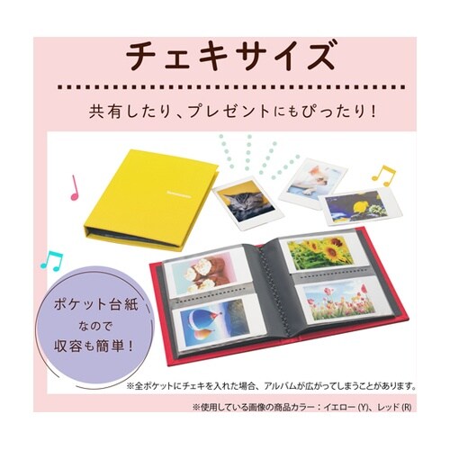 ミニポケットアルバム カード ローズ X