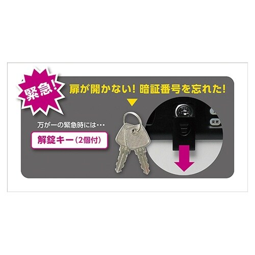 暗証番号キーボックステンキー式 48個吊