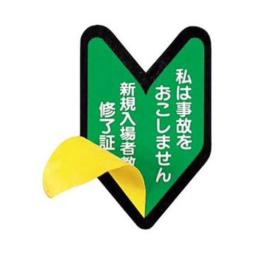 ヘルメット用ステッカー 1セット(2枚入
