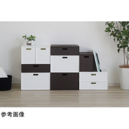 収納ボックス カラーボックス用 カロキュ