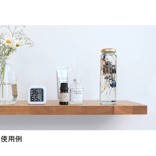デジタル温湿度計「モルモ」 ホワイト O