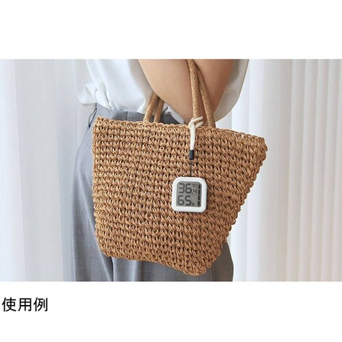 デジタル温湿度計「モルモ」 ホワイト O