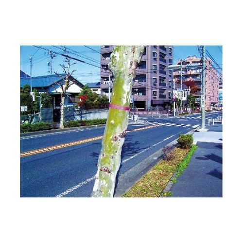 ビニールテープホワイト1巻入<BT−30