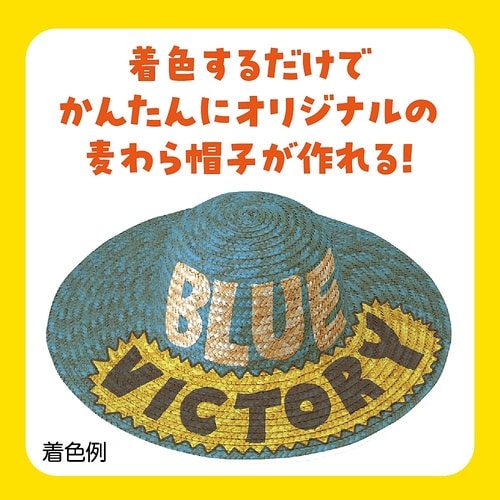 2928 麦わらぼうしミニ