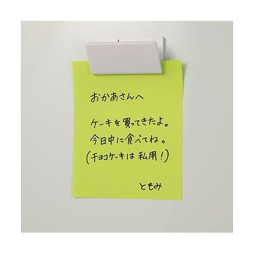 76191 マグネット白