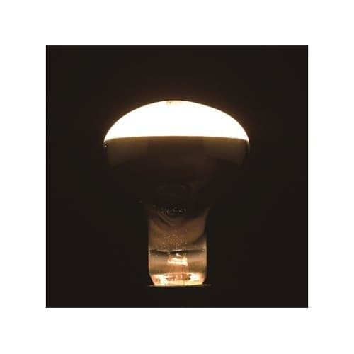 RF100V90W レフ電球100W形