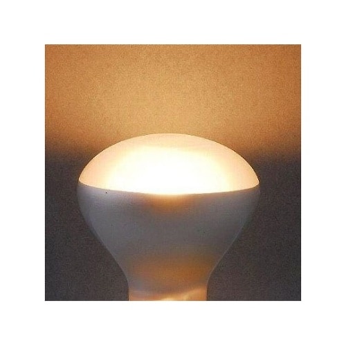 R451725 ミニレフ球25W