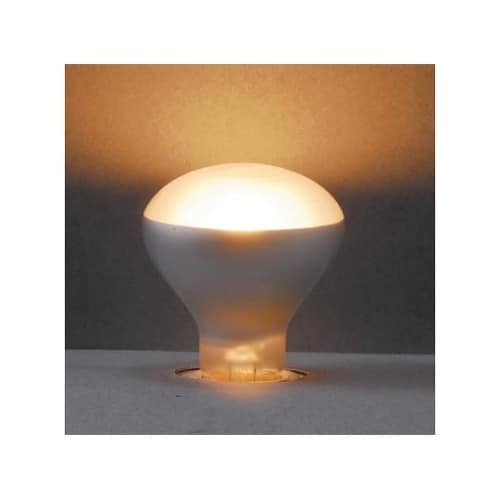 R451730 ミニレフ球30W