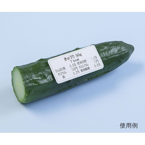 IGF−002 食育基本フードモデル29