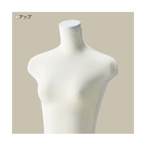 61−177−1−1婦人ニット張ボディ白