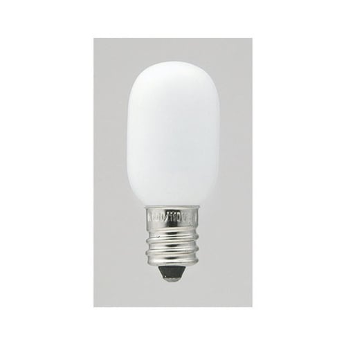 G−1010H ナツメ球2P