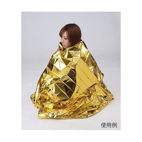 RHS−02 リバーシブル防災シート