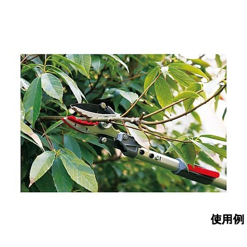 1900−2880mm 伸縮式高枝鋏(ダ