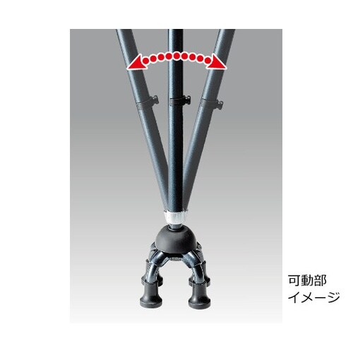 TCSFテトラケインスモールベース青墨S