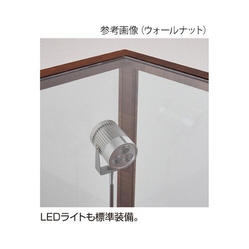 61−543−96−1 ショーケース