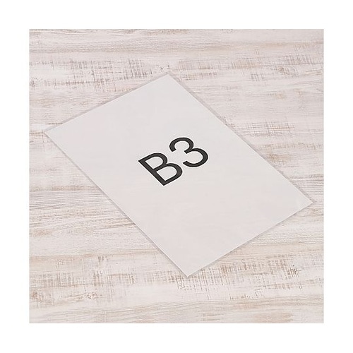 OPP袋 B3用 (シールなし)1ケース