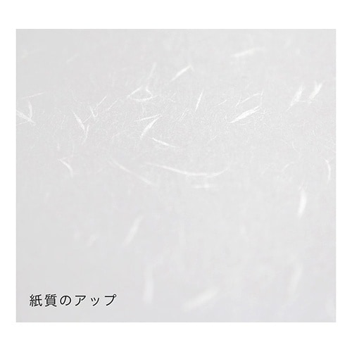 206020001 礼状紙A4 500枚