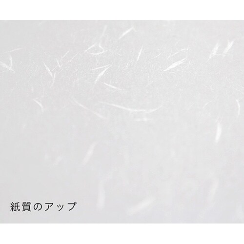 206020002 礼状紙A4 500枚