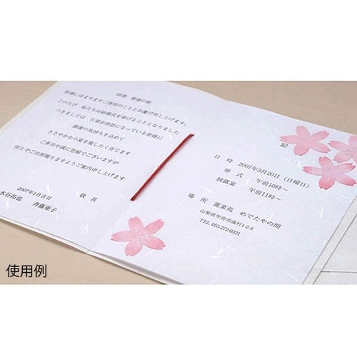 206050101 大礼紙白B4 50枚