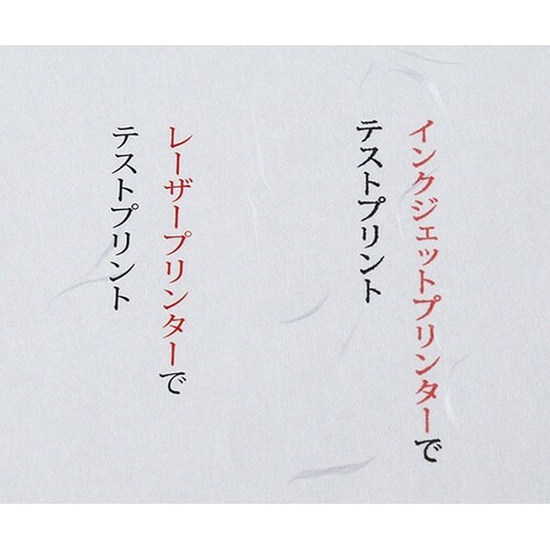 204022011 大礼紙白葉書 10枚